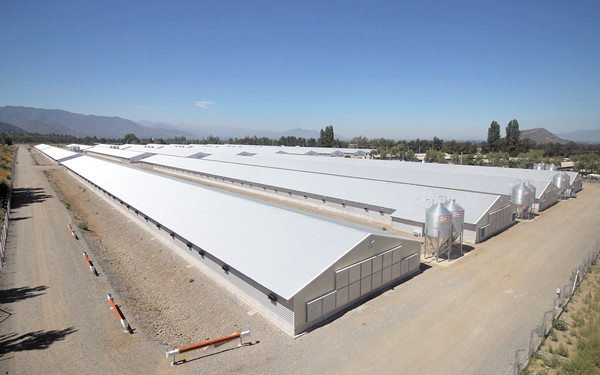  Agrosuper Valdevenito