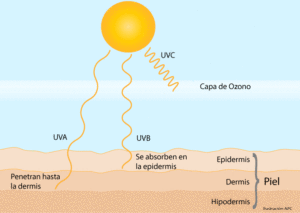 Mecanismo de protección bloqueadores solares