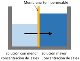 Membrana Semipermeable