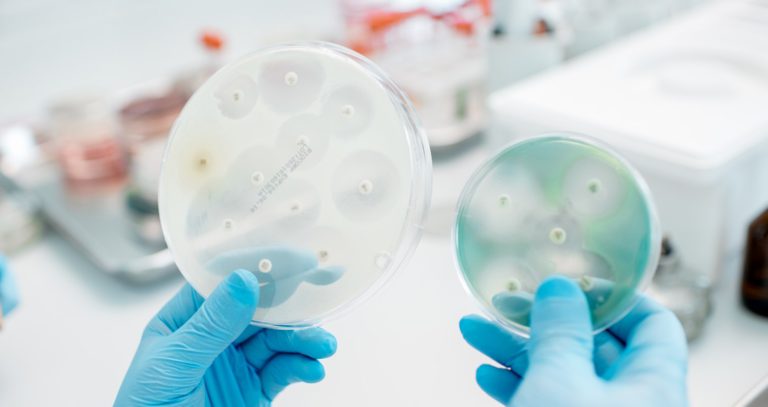 Importance of using preservatives in coatings manufacturer
