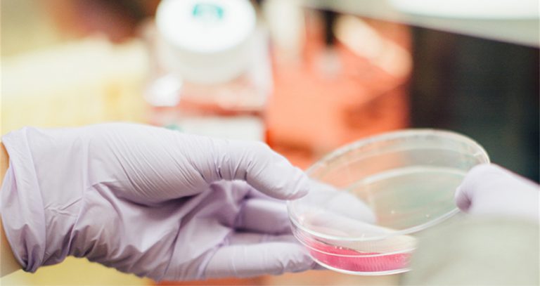 Preservantes Cosméticos: Tendencia, Eficacia y Seguridad