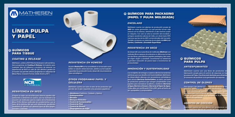 Publicación Portafolio de productos Papel & Celulosa
