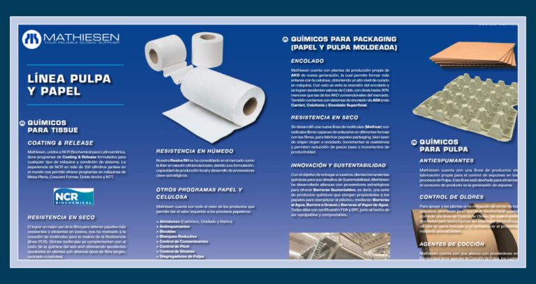 Publicación Portafolio de productos Papel & Celulosa