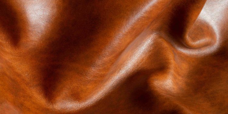  Nuevos Productos de Acabado para las Curtiembres