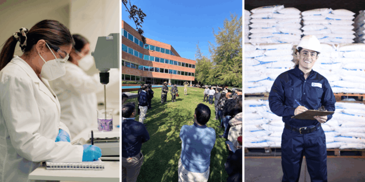  Favorables avances en materia ambiental, social y de gobernanza exhibe nuestro Reporte de Sostenibilidad 2024