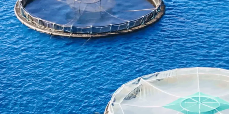  Mathiesen promocionará su portafolio integral de químicos para el sector acuícola en AQUASUR 2026