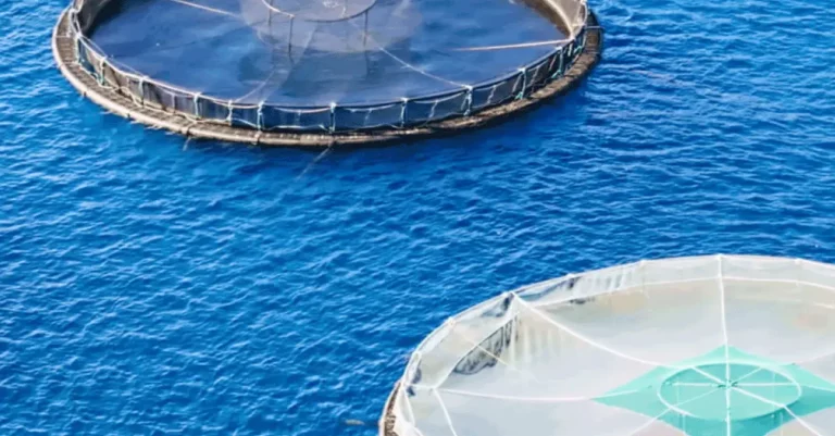 Mathiesen promocionará su portafolio integral de químicos para el sector acuícola en AQUASUR 2026