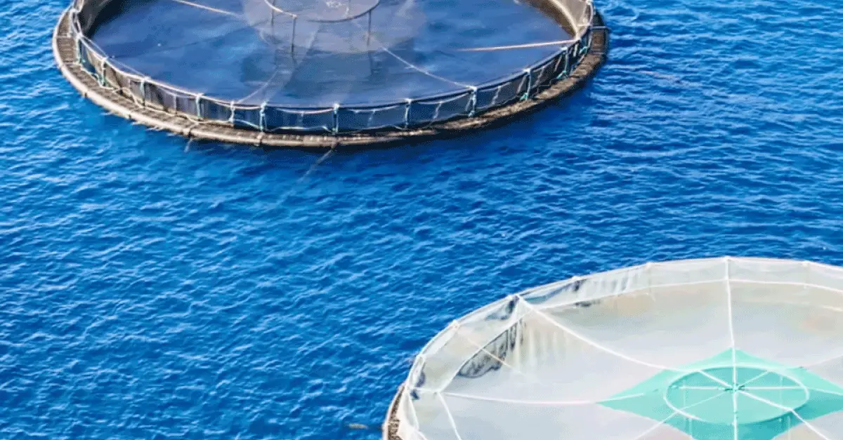  Mathiesen promocionará su portafolio integral de químicos para el sector acuícola en AQUASUR 2026